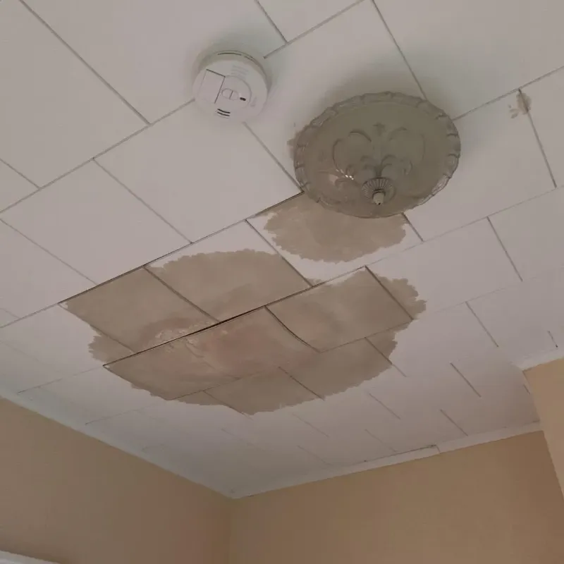 Ceiling Water Damage Repair in Ivanhoe, MN